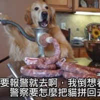 啊你怎麼扭承澤樣